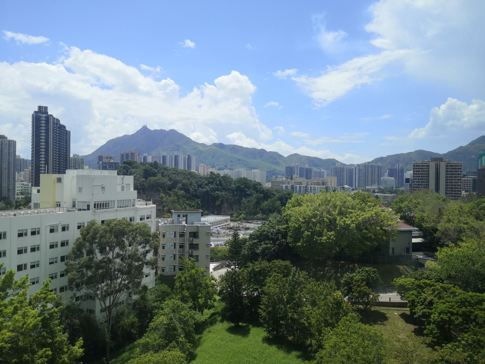 Business Psychology Studierende im Auslandssemester – Selina’s Erfahrungen in Hongkong (1)