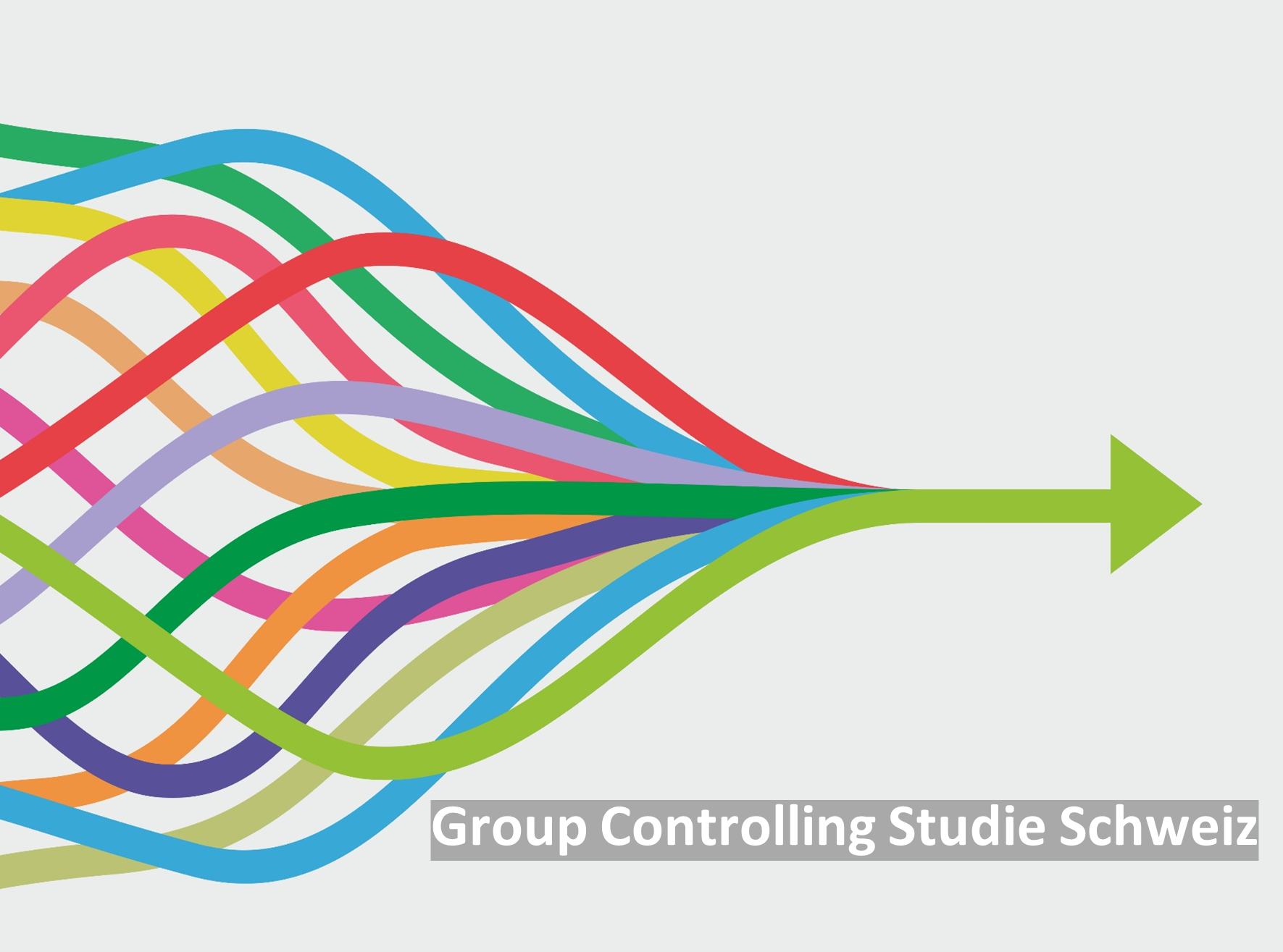 Group Controlling Studie Schweiz 2022