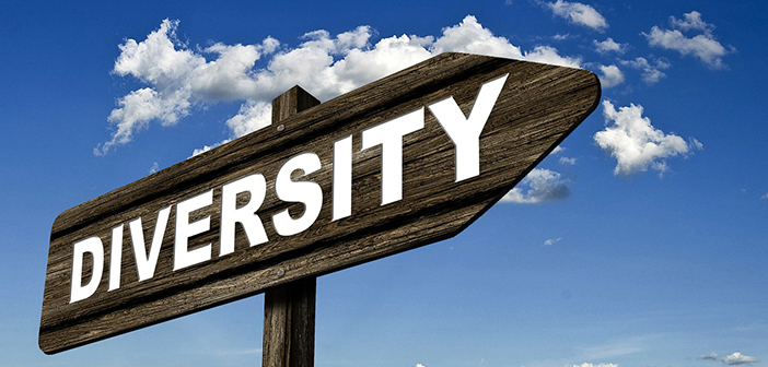 Diversity Management – Diversität bringt Vorteile