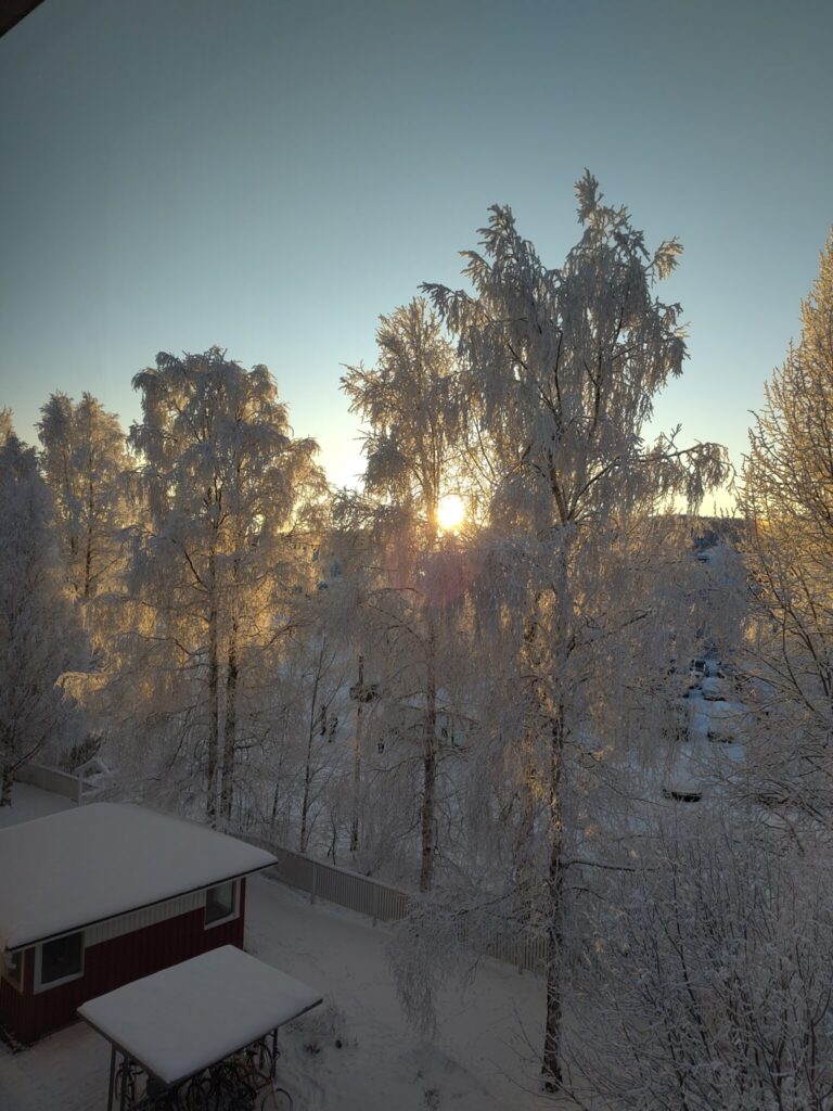 Sonne, Schnee, verschneite Bäume