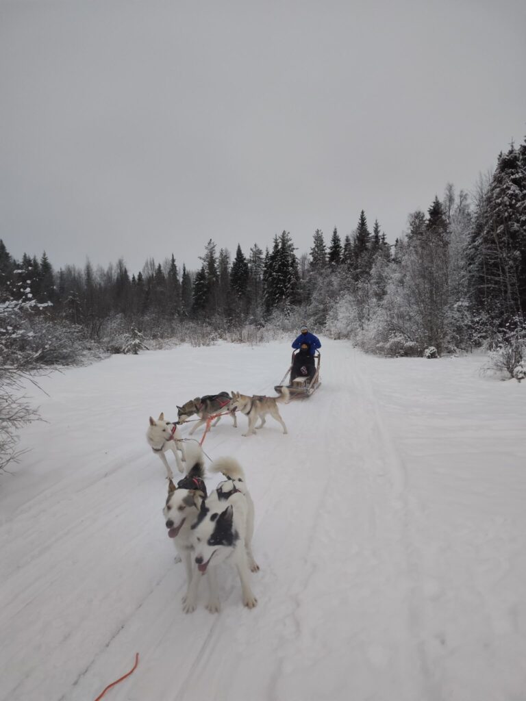 Huskies, Schlitten, Schnee, zwei Studenten