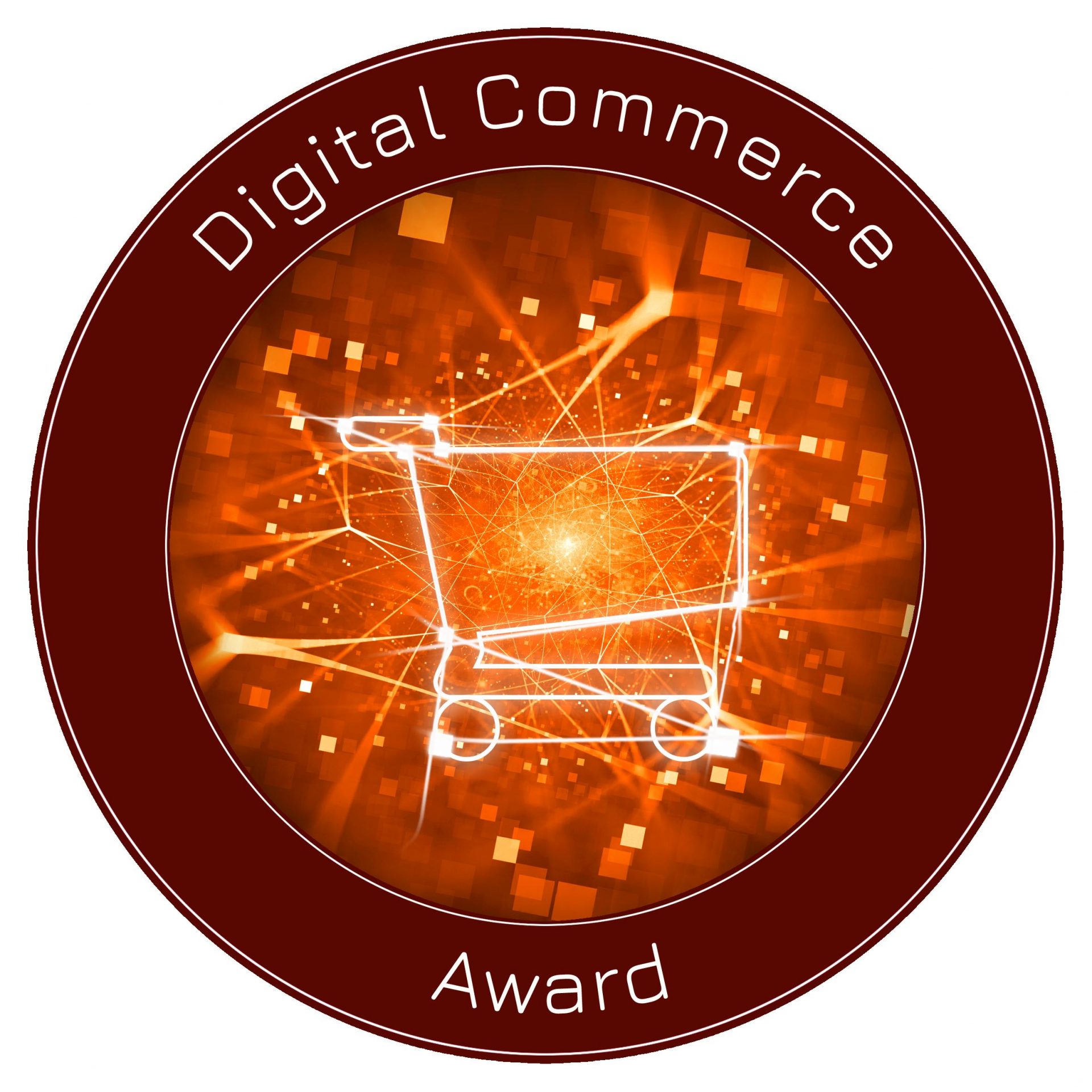 Digital Commerce Awards