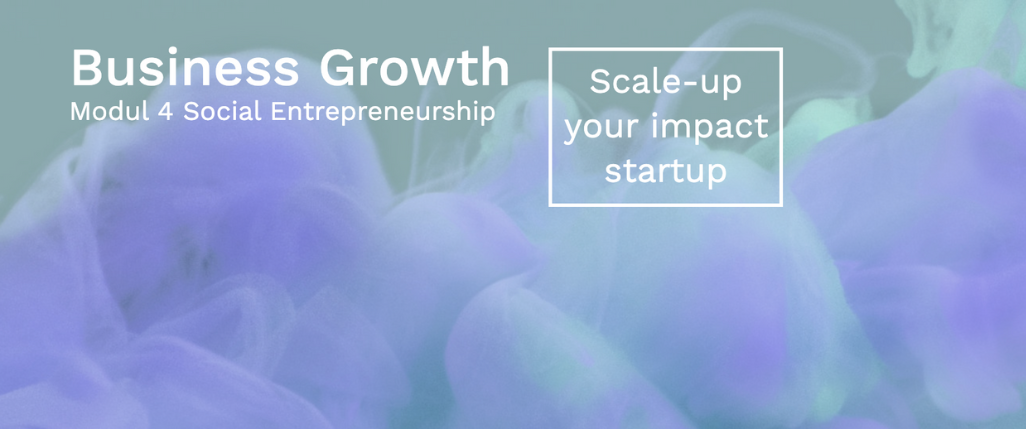 Business Growth Kurs für Social Entrepreneurs