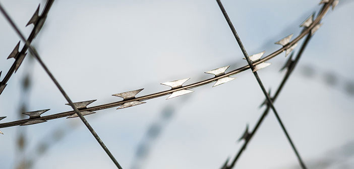 Höher, länger, gefährlicher – Grenzzäune