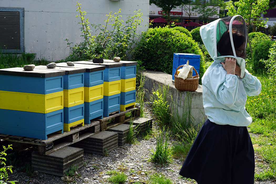 Birgit Hackbarth und die fünf Bienenvölker an der HSLU