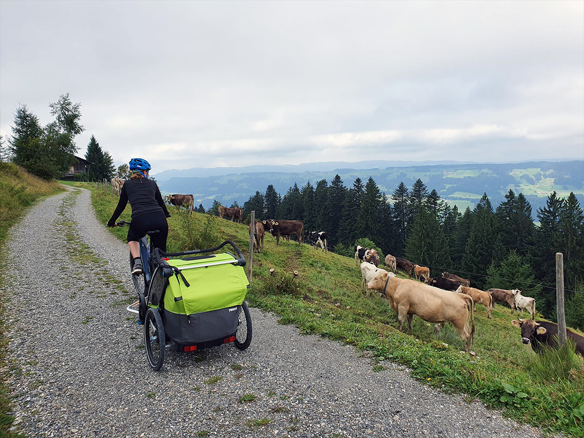 Ein Ausflug mit den Kindern und dem Velo