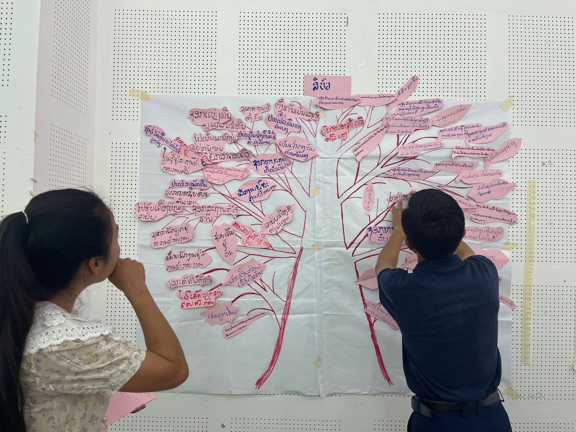 Ein Mindmap in Laos